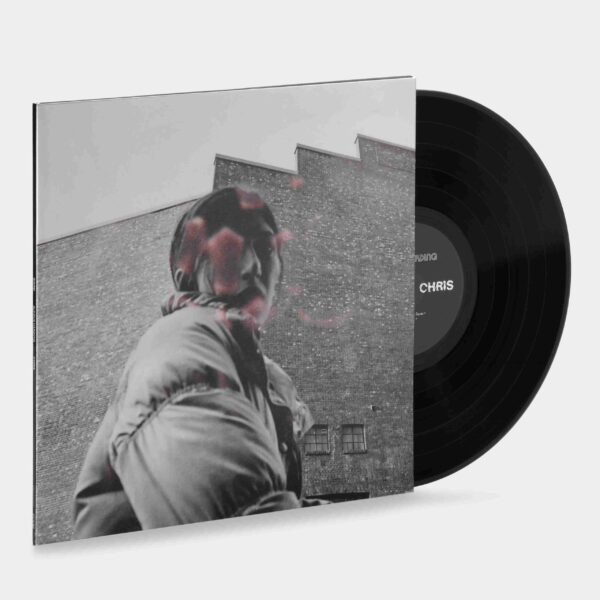 ALDOUS HARDING - WARM CHRIS Vinyl Record