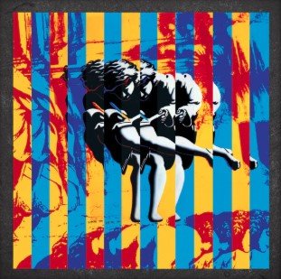 GUNS NROSES - USE YOUR ILLUSION (VINYL BOXSE Vinyl Record