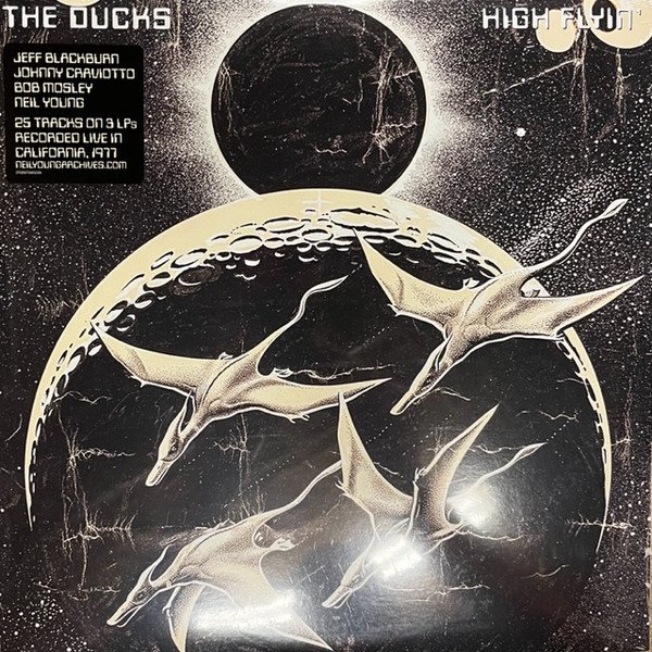 The Ducks - High Flyin'