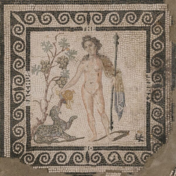 ASM - THE FRENZY OF BACCHUS