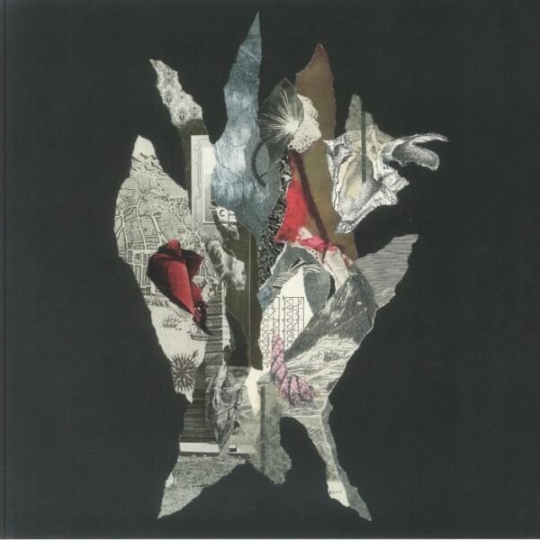 ALAS DE LIONA - GRAVITY OF GOLD Vinyl Record
