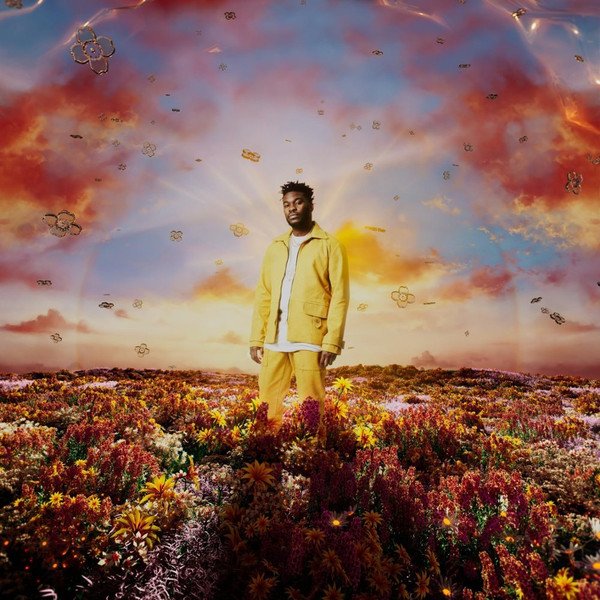 AMADI NONSO - WHEN IT BLOOMS (LP)
