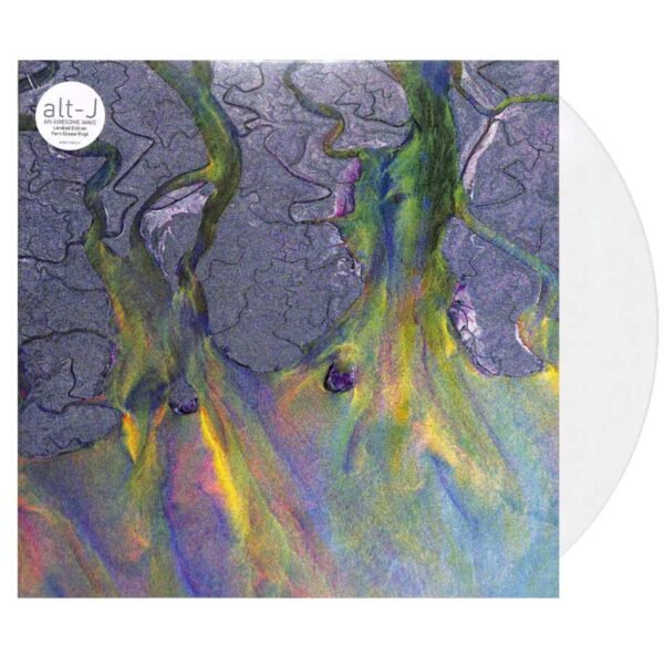 alt-J - An Awesome Wave Vinyl Record