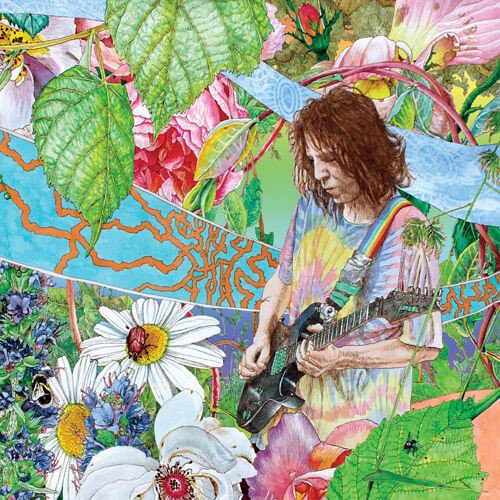 WYNNE ED - SHIMMER INTO NATURE
