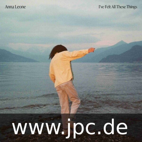 ANNA LEONE - IVE FELT ALL THESE THINGS Vinyl Record