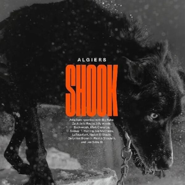 ALGIERS - SHOOK Vinyl Record