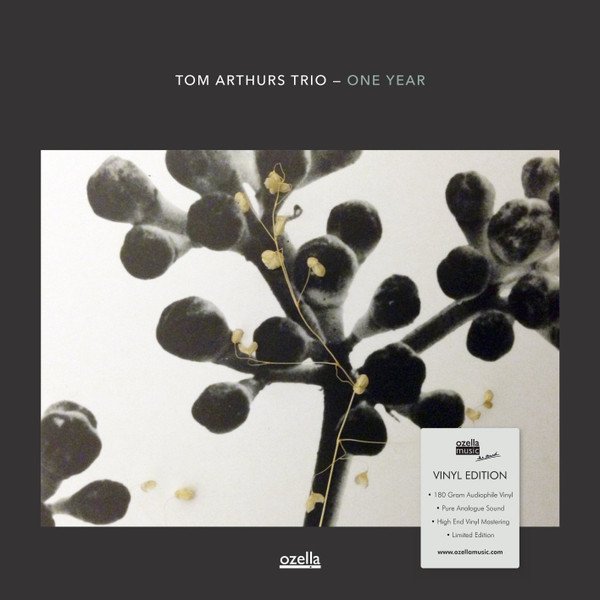 TOM ARTHURS TRIO - ONE YEAR