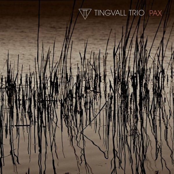 TINGVALL TRIO - PAX