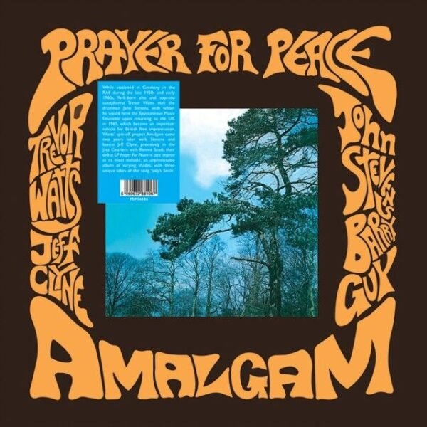 AMALGAM - Prayer For Peace Vinyl Record