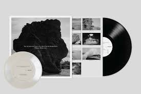 Damon Albarn - The Nearer The Fountain, More Pure...(1LP) Vinyl Record