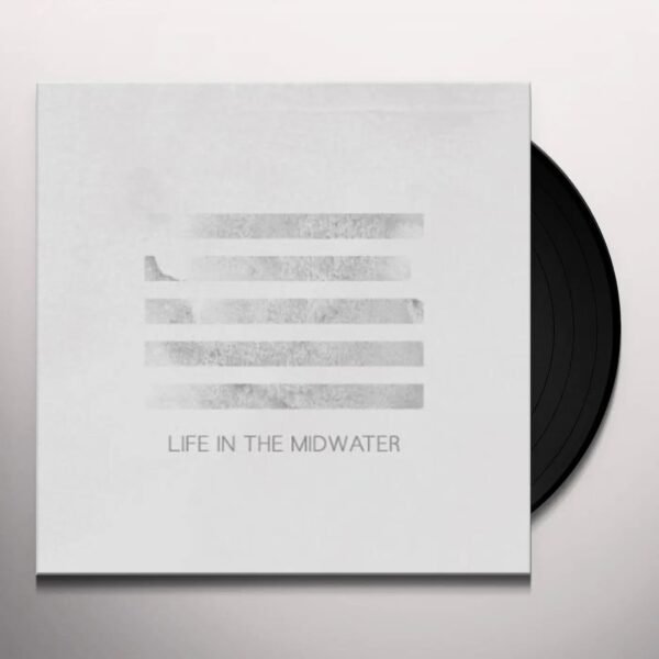 AISHA BURNS - LIFE IN THE MIDWATER Vinyl Record