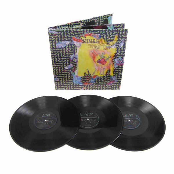 ANIMAL COLLECTIVE - BALLET SLIPPERS Vinyl Record