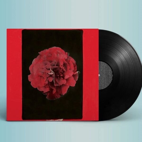 ACTIVITY - A THOUSAND YEARS IN ANOTHER WAY Vinyl Record