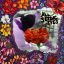 MSR002LP.jpg